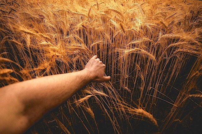 Nachhaltige Landwirtschaft ein Scharnier für Rechte